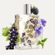thumbnail image 3 of Perfume Kumbra With Love Berry Muse 100 ml Frutal Vegano, 3 of 6