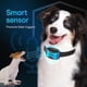 thumbnail image 4 of Collar Antiladridos Para Perros Recargable Antiladridos Impermeable, 4 of 9