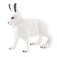 thumbnail image 3 of Figura De Conejo Realista Zoo Modelo De Animal De Granja Juguetes De Ense?anza Decoración De Mesa De Pie Blanco, 3 of 5