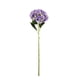thumbnail image 1 of Hortensia Morada 109 Cms, 1 of 2