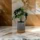 thumbnail image 4 of Planta Artificial Tropical Macetero Ceramica Gris Con Dorado, 4 of 7
