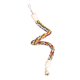 thumbnail image 1 of Cuerda De Pájaro Flexible Percha Masticar Perchas Cuerda De Escalada De Loro 19,69 Pulgadas, 1 of 5