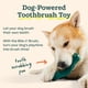 thumbnail image 4 of Recambios de limpieza dental para cepillo de dientes para perros Toy WOOF Bite n' Brush, 4 of 6