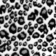 thumbnail image 2 of IC Screen Youth Y-1646, 2 of 2