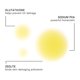 thumbnail image 2 of Suero ARCONA Desert Mist 35 ml Vitamina C + E, 2 of 7