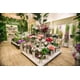 thumbnail image 2 of Planta Artificial Mini Hortensia Crema 90 Cm, 2 of 2
