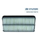 thumbnail image 1 of Filtro De Aire Hyundai Getz 1.5 Crdi 2003-2009, 1 of 10