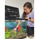 thumbnail image 5 of Clarificador de Agua EcoBio-Block Pack de 2 unidades 57–151 L, 5 of 6