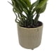 thumbnail image 3 of Planta Artificial Orquidea Rosado Decorativa Macetero Loza, 3 of 3