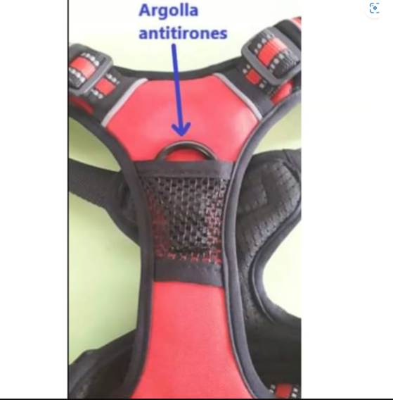 Genérico - Chaleco Arnes Para Perros Rojo Mascotas