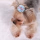 thumbnail image 4 of pinzas para el pelo de perro, gato, perro, mascota, hechas a mano, 4 of 5