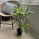 thumbnail image 2 of Planta artificial Dracaena 70 cm, 2 of 2