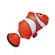 thumbnail image 2 of JUGUETE PEZ CON MOVIMIENTO NEMO USB (26cm), 2 of 3
