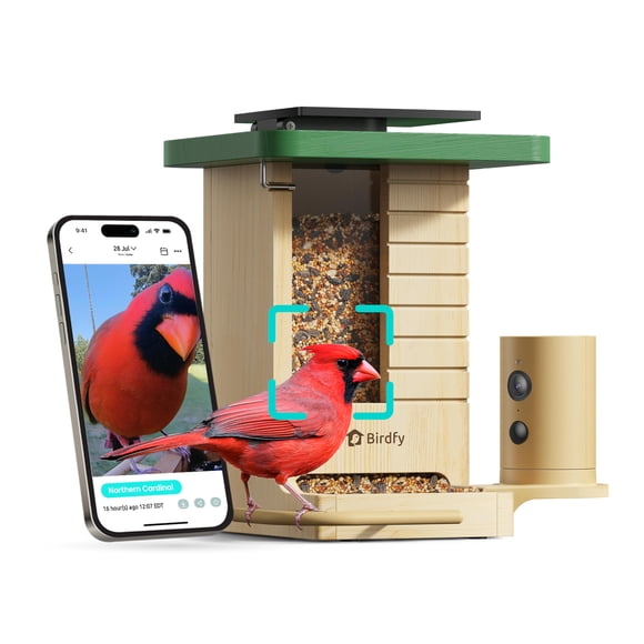 Comedero para pájaros Birdfy Smart con cámara solar con IA para más de 6000 especies