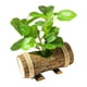 thumbnail image 1 of Plantas Verdes En Macetas Artificiales Plantas En Macetas Pequeñas Para Estante Farmhouse Style D, 1 of 5