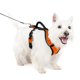 thumbnail image 1 of Arnés para perros PetSafe EasySport naranja ajustable pequeño, 1 of 6