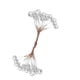 thumbnail image 2 of 200 Piezas De Espuma Artificial Holly Berry Flower Pearl Double Head Decor Sliver, 2 of 5
