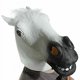 thumbnail image 3 of Máscara Miyaya Horror Scary White Horror con forma de cabeza de caballo para Halloween, 3 of 3