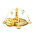 thumbnail image 2 of Gimnasio Corral Pelotas Zoo Yellow, 2 of 4