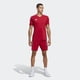 thumbnail image 5 of Pantalones cortos Adidas Tiro 23 para hombre Team Power Rojo/Blanco - XL, 5 of 8