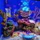 thumbnail image 4 of Decoración artificial para acuario, anémona de mar de silicona, adorno para pecera., 4 of 8