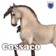 thumbnail image 4 of Figura Breyer Horses Traditional Series Cossaco Lusitano, 4 of 4
