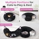 thumbnail image 2 of Túnel Cama para Gatos Kitten Series Baseola Negro y Rosa para hasta 10 kg, 2 of 8