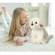 thumbnail image 3 of Peluche HollyHome Bichon Frise, cachorro de peluche, 33 cm, para niños, 3 of 3