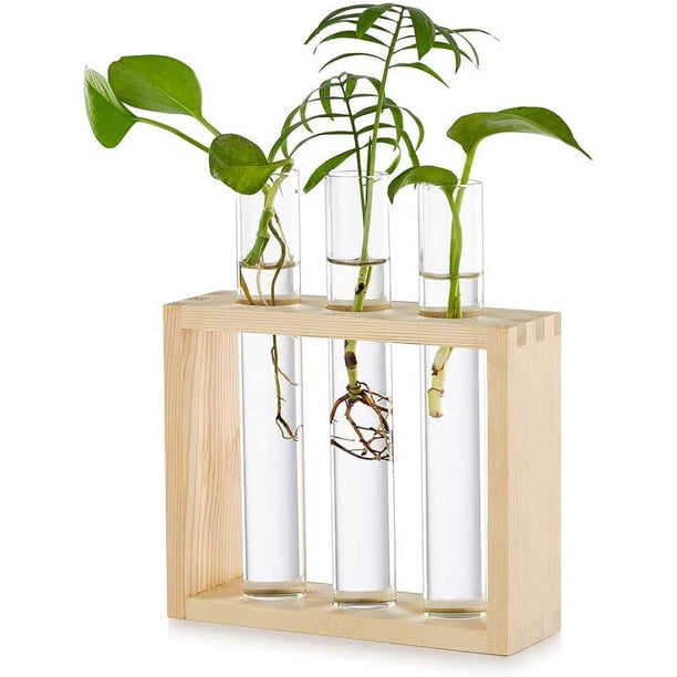 Maceta colgante de cristal para mesa, estación de propagación, moderna maceta con 3 tubos de ensayo y capullos de flores en soporte de madera, terrario de mesa para esquejes de plantas hidropónicas, d