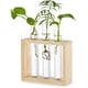 thumbnail image 1 of Maceta colgante de cristal para mesa, estación de propagación, moderna maceta con 3 tubos de ensayo y capullos de flores en soporte de madera, terrario de mesa para esquejes de plantas hidropónicas, d, 1 of 6