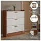 thumbnail image 2 of Zapatero Mueble Organizador 3 Niveles XXL para 25 pares, 2 of 6