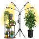 thumbnail image 1 of Luces de cultivo Oktrionce de 4 cabezas con espectro completo LED, 1 of 6