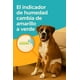 thumbnail image 3 of 120 Pañales Perros Macho Gatos Desechables Incontinencia M Blanco Macho M 55 X 20cm, 3 of 12