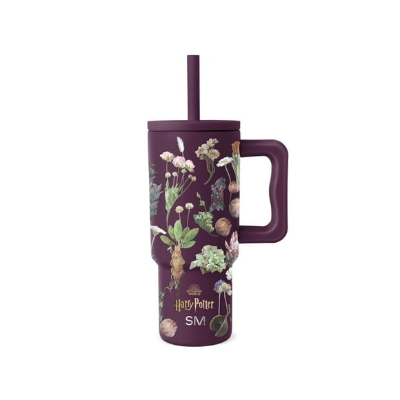 Vaso sencillo y moderno de Harry Potter Kids de 710 ml con asa