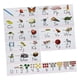 thumbnail image 2 of Tablero De Anuncios Del Alfabeto Aprendizaje Temprano Kinder Preescolar Decoraciones, 2 of 5