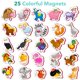 thumbnail image 2 of Juego de 25 imanes de espuma para nevera Little World para niños pequeños de 1 a 3 años, 2 of 6