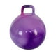 thumbnail image 3 of Pelota De Salto Con Mango Para Niños Y Niñas, Pelota De Ejercicio, Pelota Hinchable, Color Morado, 3 of 3