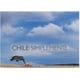 thumbnail image 1 of Chile Simplemente, 1 of 3