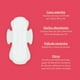 thumbnail image 4 of Pack Triple Toallas Femeninas Normal Biodegradables Motherna, 4 of 6
