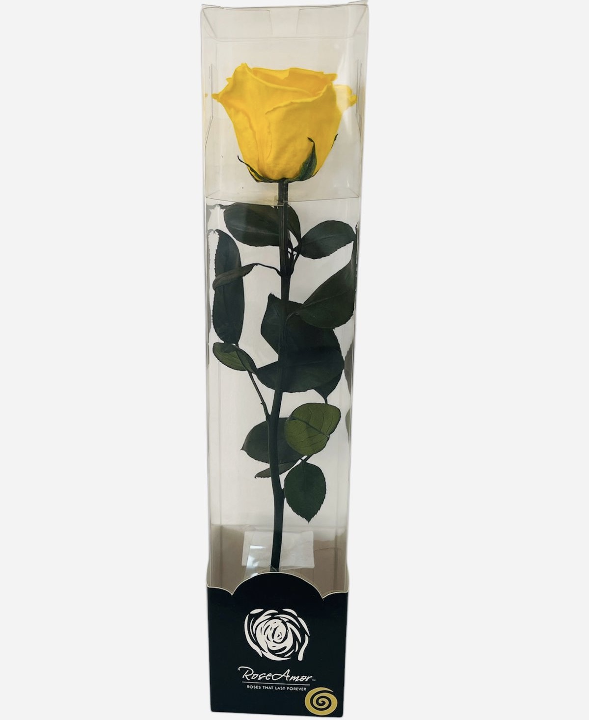 Allpa-Roseamor - Rosa Preservada Natural 30Cm En Acetato Amarillo