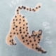 thumbnail image 4 of Pijama Polar Juvenil Niña, 4 of 4