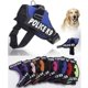 thumbnail image 1 of Arnes Pechera K9 Alcochado Reforzado Perros Pequeños Talla M, 1 of 2