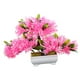 thumbnail image 2 of Árbol Bonsái Artificial, Decoración De Plantas Artificiales Para Granja, Estante De Oficina, Rosa Claro, 2 of 3
