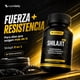 thumbnail image 5 of SHILAJIT 8 EN 1 SUPLIDAILY 180 CAPSULAS ENERGIA Pack X3, 5 of 10
