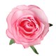thumbnail image 2 of 10 unids rosa de seda artificial cabeza de diy ramo decoración de la boda rosa, 2 of 5