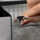 thumbnail image 4 of Anillo Pareja Compromiso Boda Novio Ilusiones Plata/ 8, 4 of 4