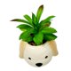thumbnail image 3 of Planta Artificial con Macetero de Perro, 3 of 3