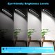 thumbnail image 4 of Lupa Raweao 5X recargable con luz y soporte, 4 of 8