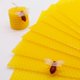 thumbnail image 4 of Kit para hacer velas Bingfuego de cera de abeja para niños con 12 hojas, 4 of 6