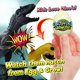 thumbnail image 2 of Juguete de cultivo de dinosaurios JA-RU Magic Grow con 1 huevo para niños, 2 of 7